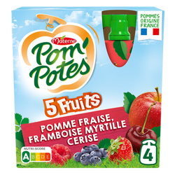 Dessert fruitier Gourdes 5 Fruits Rouges Pomme Cerise Fraise FramboiseMyrtille POM'POTES,