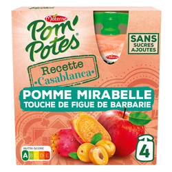 Dessert fruitier Gourdes Recettes du Monde Casablanca Pomme MirabelleTouche de Figue Barbarie POM'POTES, 4x90g