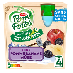 Dessert fruitier Les P'tits Explorateurs Thor POM'POTES 4x90g