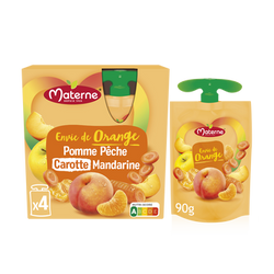 Dessert fruitier pomme/pêche/carotte/mandarine MATERNE 4x90g