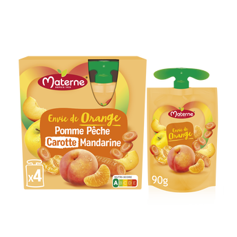 Dessert fruitier pomme/pêche/carotte/mandarine MATERNE 4x90g