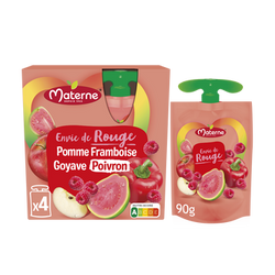 Dessert fruitier pomme/framboise/goyave/poivron MATERNE 4x90g