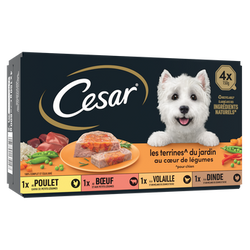 Barquette chien Cesar Terrine cœur légumes - 4x150g