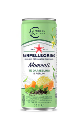 Boisson Gazeuse aromatisée Agrumes Thé SAN PELLEGRINO MOMENTI - 33cl