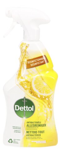 DETTOL Power&Fresh spray citron 750ml
