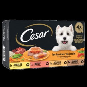 Barquette chien Cesar Terrine cœur légumes - 4x150g