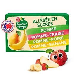 Compote Douceur du Verger Gourdes multivariétés - 12x90g