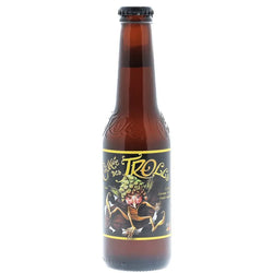 CUVÉE DES TROLLS bière blonde 7% 25cl